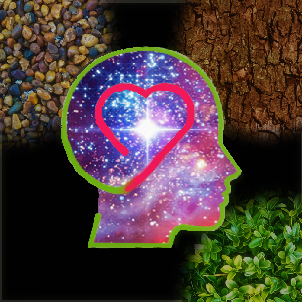 VLBS Logo